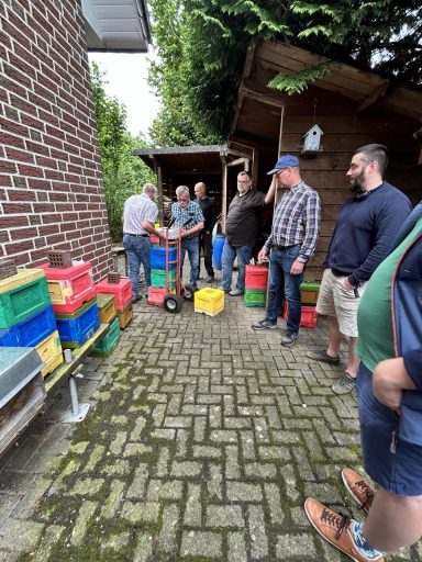 Wir machen uns auf die Suche nach bereits geschlüpften Königinnen