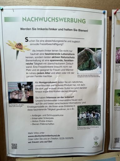 Nachwuchswerbung des DIB