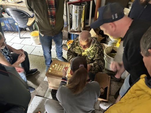 Kontrolle der künstlichen Königinnenzellen